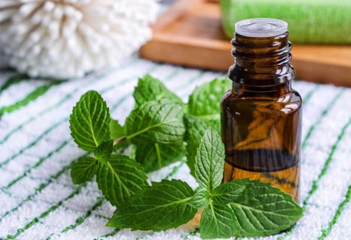 Patchouli Oil